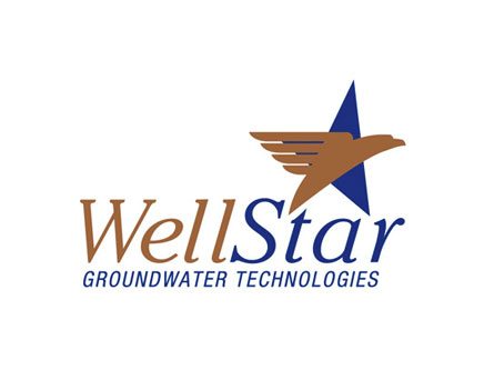 Wellstar Logo